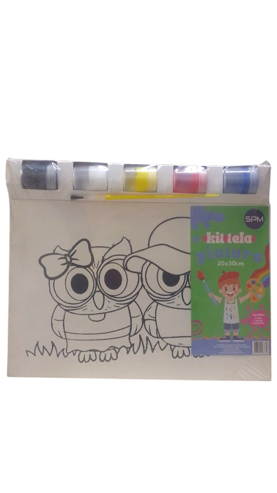 TELA PINTURA DESENHADA KIT 20X30